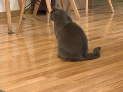 -壹人壹像工作室(购物公园店)