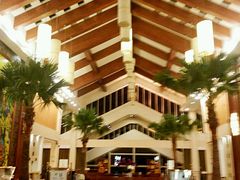 -雅安楠水阁温泉酒店