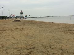 -碧海金沙