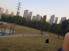 -重庆彩云湖湿地公园