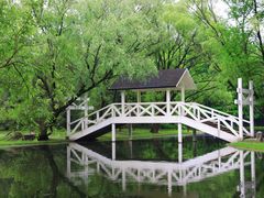 -上海共青森林公园