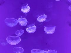 -沈阳海洋探索中心