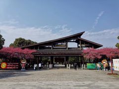 -西溪国家湿地公园