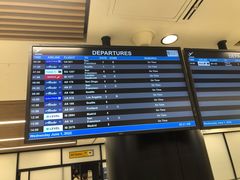 -约翰·菲茨杰拉德·肯尼迪国际机场