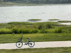 -风云岭森林公园