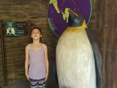 -新加坡飞禽公园