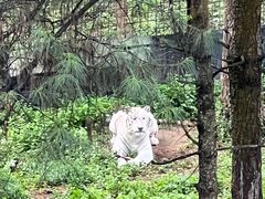 -云南野生动物园