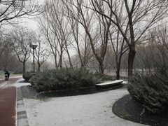 -南长河公园
