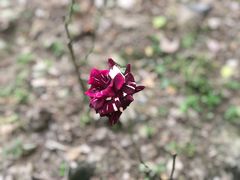 -苏州河梦清园环保主题公园