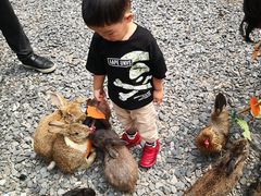 -同里湖大饭店-怡景轩中餐厅(同里古镇店)