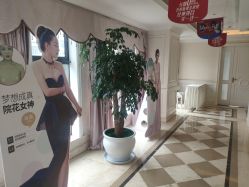 -昆明梦想医疗美容医院