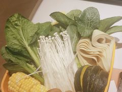 -润园四季椰子鸡火锅(欢乐海岸店)