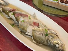 -闻莺馆(柳浪闻莺店)