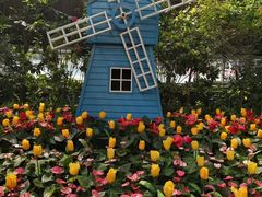 -南宫五洲植物乐园