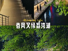 -荔湾湖公园