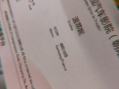 -枫花园汽车电影院(朝阳公园店)