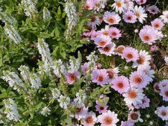 -八角街道·八角南路社区