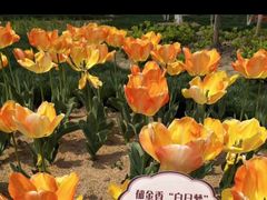 -江南大学(蠡湖校区)