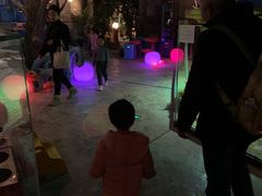 -zoonana室内动物园(东方福来德店)