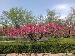 -元大都城垣遗址公园