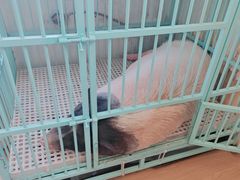 -小时光咖啡馆(开森度假森林店)