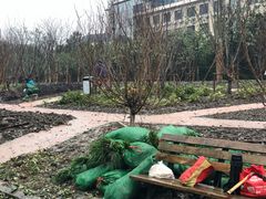 -上海市龙华烈士陵园