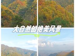 -秦岭风景区