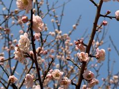 -桃花涧