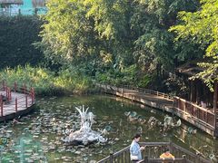 -珠海圆明新园