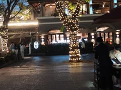 -茶理宜世(岭南站NOVA店)