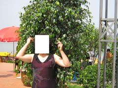 -丁香湖丁香小镇Citypark滑雪公园戏雪嘉年华