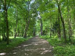 -巴黎路易威登基金会艺术中心 