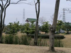 -王借岗森林公园