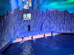 -珠海长隆海洋王国