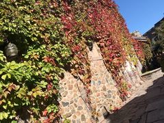 -卧龙堡客栈·中餐厅(古北水镇店)