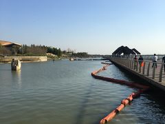 -滆湖低碳生态公园