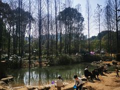 -苏州河梦清园环保主题公园