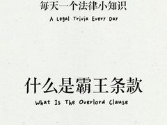 -上海领胜律师团队·法律咨询