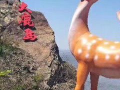 -大鹿岛