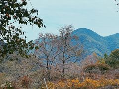 -丹山赤水风景名胜区