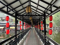 -侨美·唐荔园·40年地道粤菜