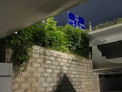 -光明港公园