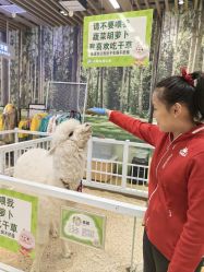 -小象动悟公园(龙湖亦庄天街店)