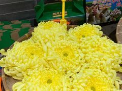 -红日饭店(裕隆三路店)