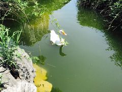 -祝家花園(伯渎港店)