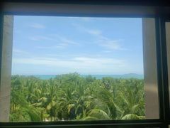 -三亚湾海居铂尔曼度假酒店