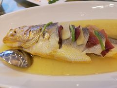 清蒸东海大黄鱼-金时代顺风大酒店(协泰店)