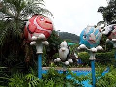 -重庆海昌加勒比海水世界