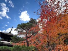 -常寂光寺
