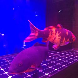 -青木造型HAIR·あおき髪を刈る潮人店